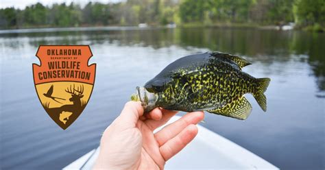 oklahoma fishing license 2023.
